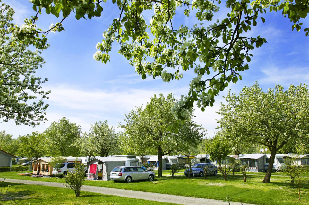 Wirthshof Camping Campingplatz