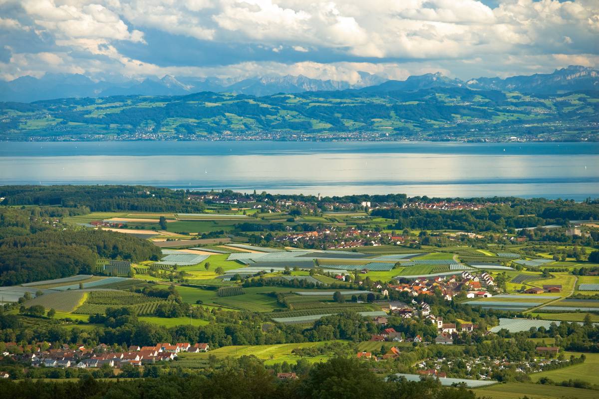Bodensee Panorama