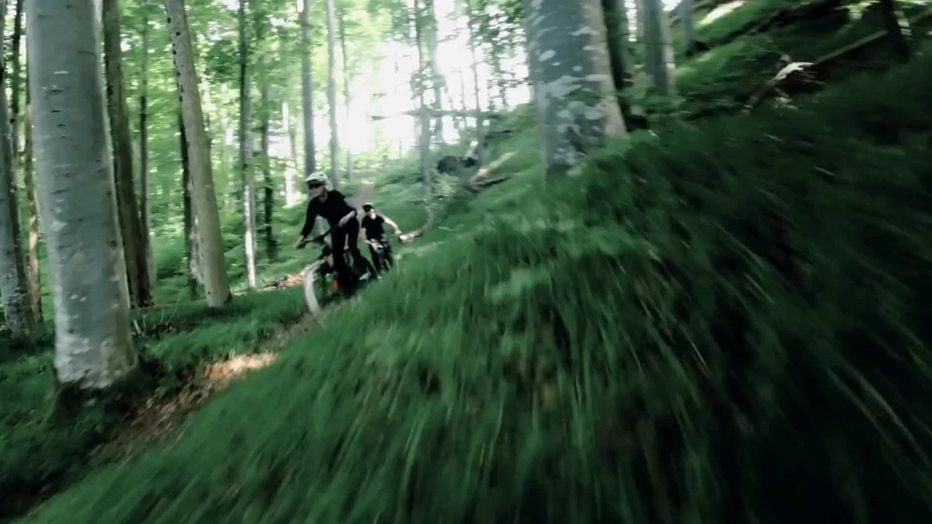 Radfahren in der Region