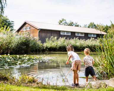 Kinder spielen mit Kescher an einem Naturteich