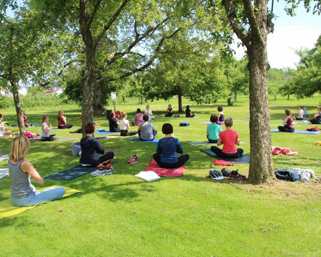 Yoga Gruppe im Park Wirthshof