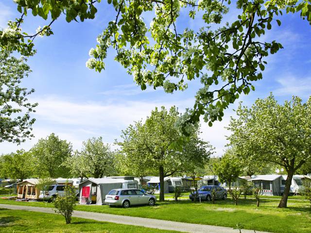 Wirthshof Camping Campingplatz