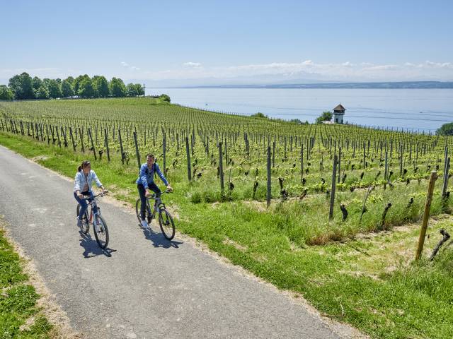 cycling through the area - Wirthshof