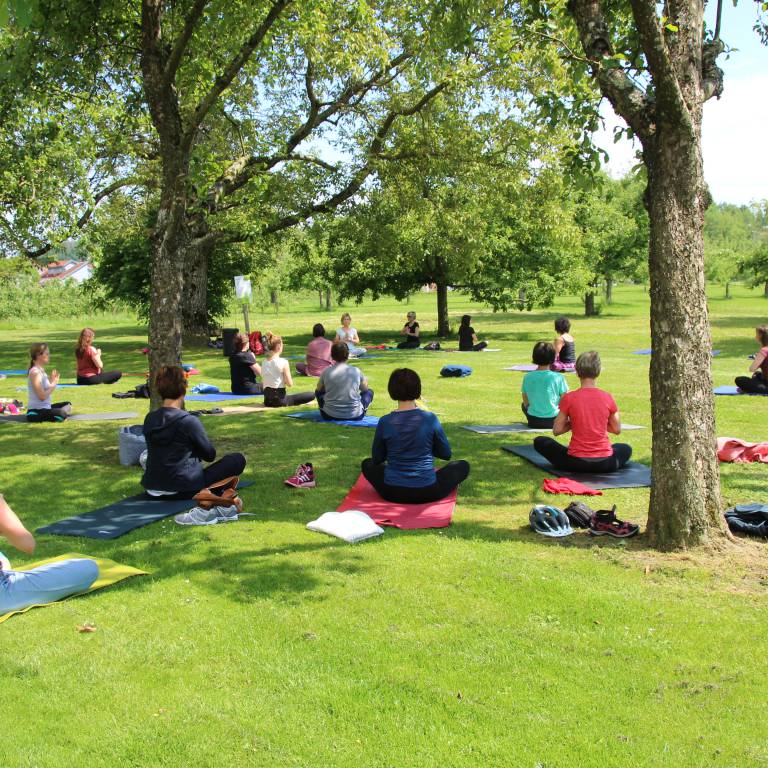 Yoga Gruppe im Park Wirthshof
