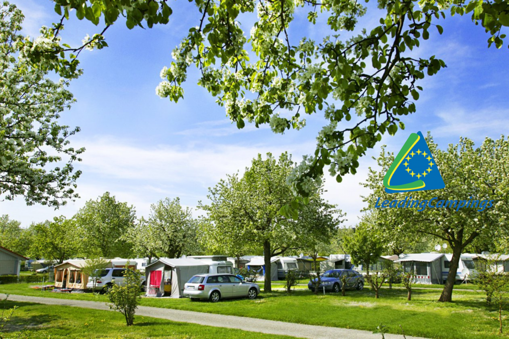 Camping Bodensee 5 Sterne Direkt Am See 5 Sterne Camping am Bodensee - Wirthshof